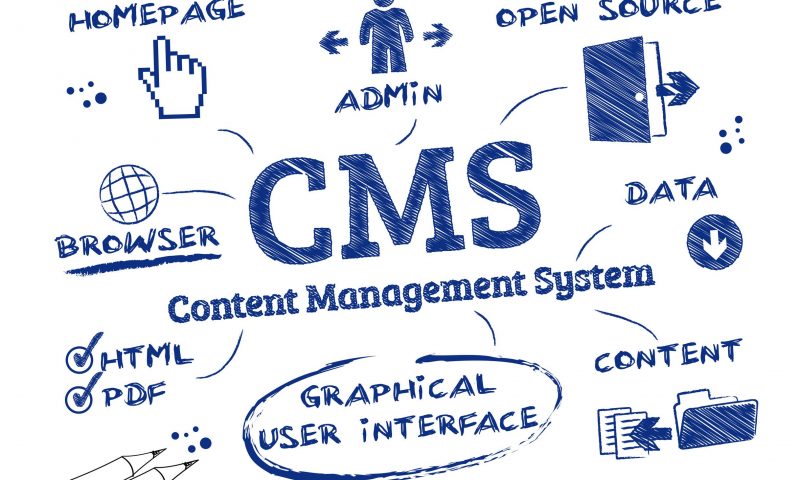 The most popular types of platforms for the site development in 2014