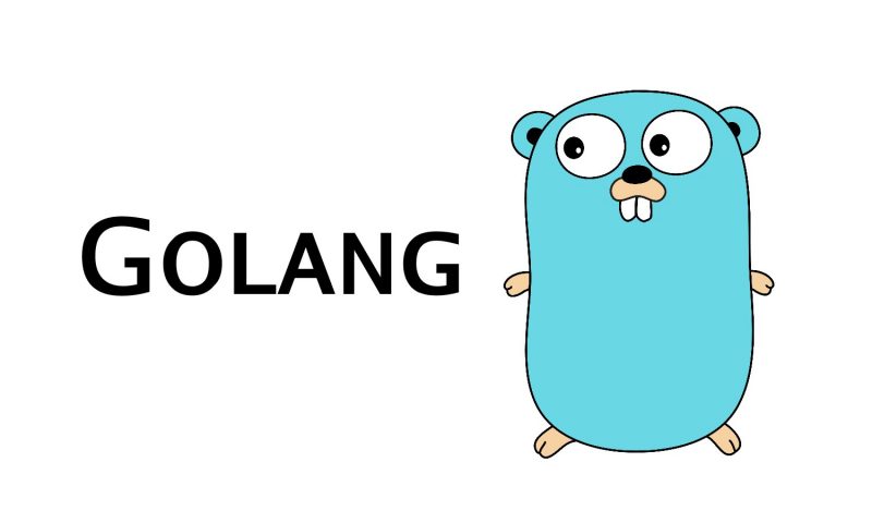Golang: features and specificity